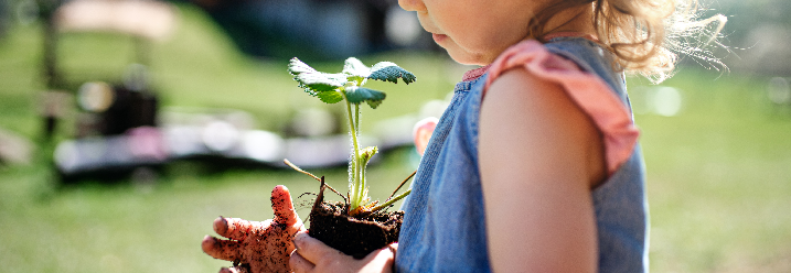 Kleines Mädchen hält eine Jungpflanze